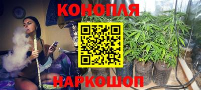 ПСИЛОЦИБИНОВЫЕ ГРИБЫ Кингисепп