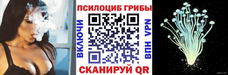 где купить наркоту  Ставрополь  Галлюциногенные грибы ЛСД 