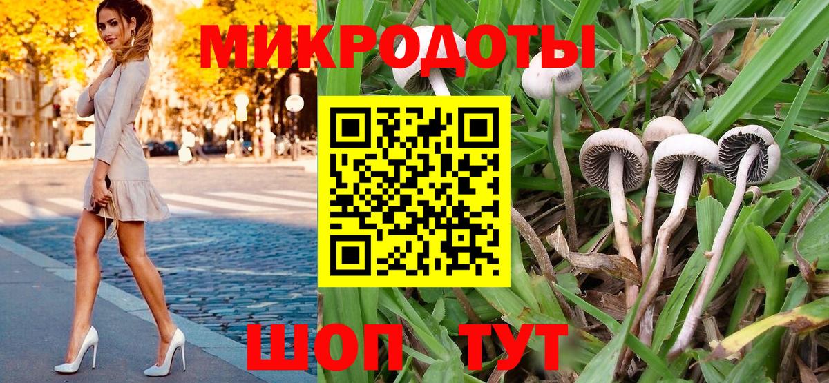 Галлюциногенные грибы Psilocybe  Вход с VPN  Ставрополь 