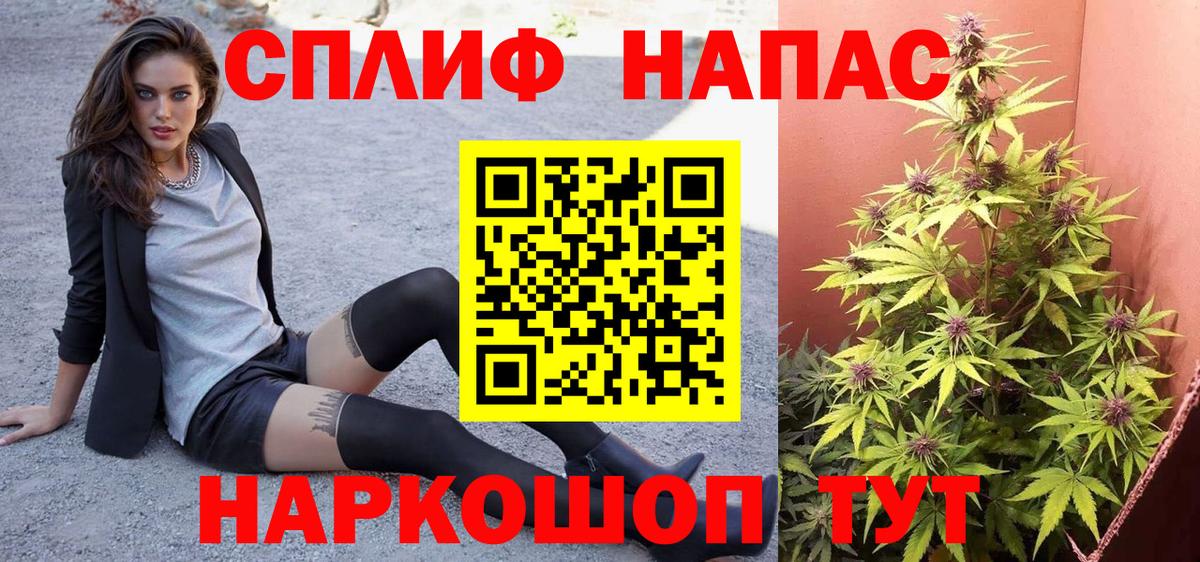 Каннабис MAZAR Ставрополь